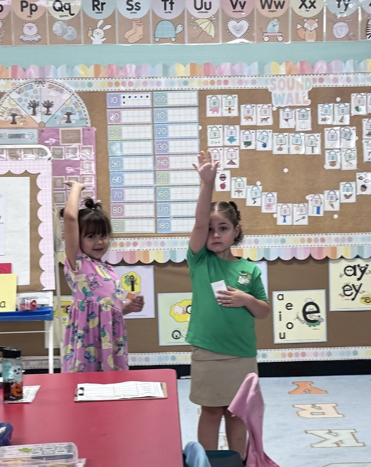 quiz, quiz, trade