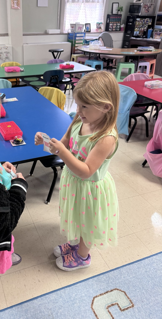quiz, quiz, trade