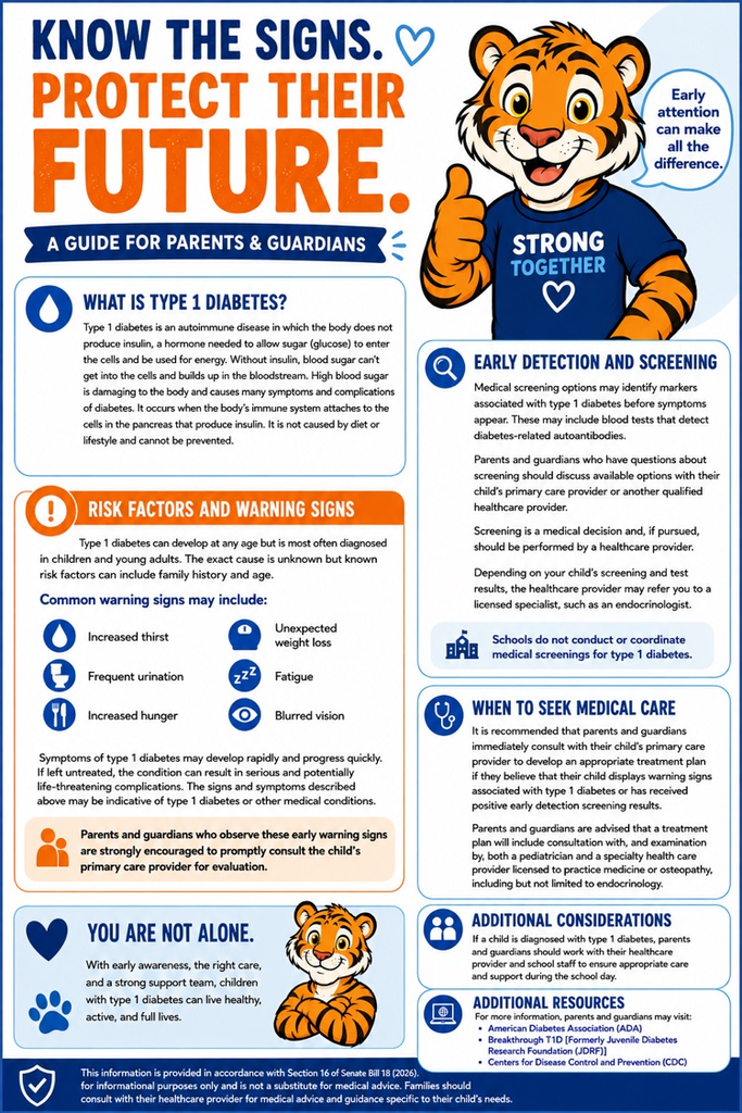 Graphic organizer about type 1 diabetes, the warning signs and risk factors