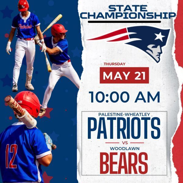 Patriots vs Bears