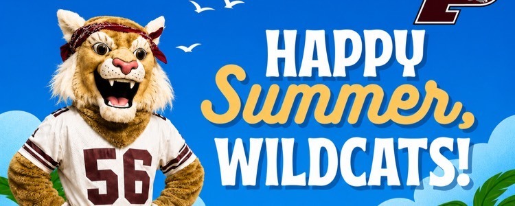happy summer wildcats