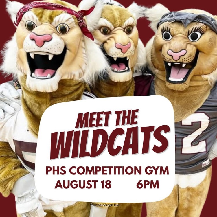 meet the wildcats
