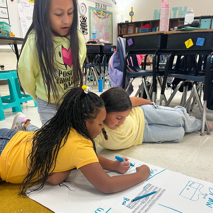 Problem solving using the Read Draw Write process