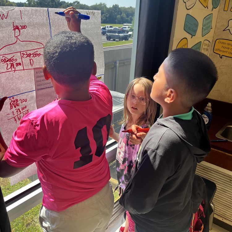 Problem solving using the Read Draw Write process