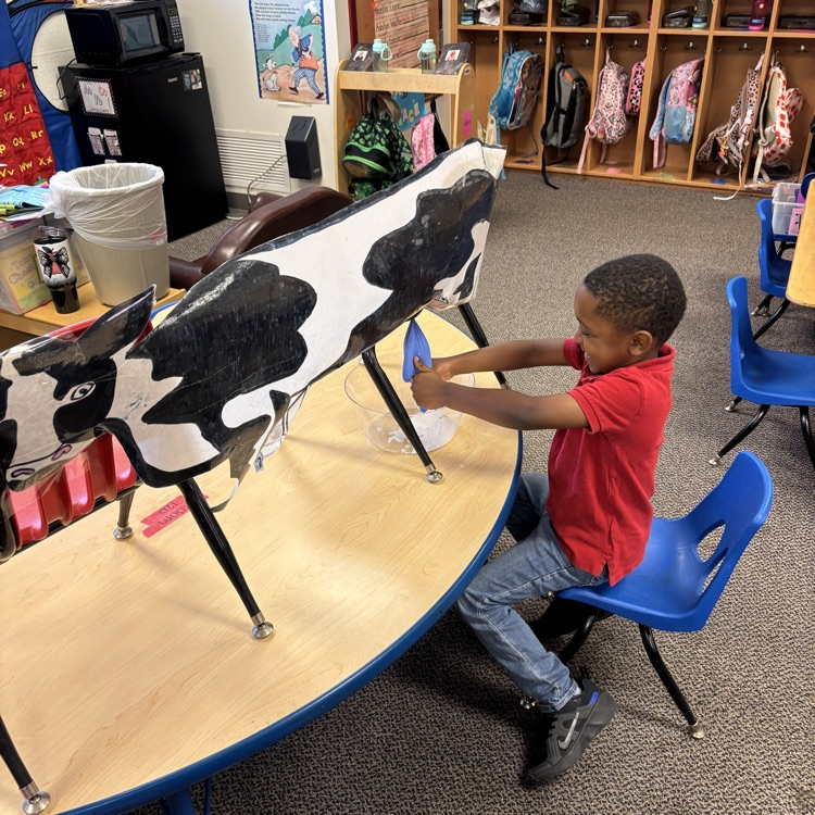 Student practices milking on a model cow in a classroom.