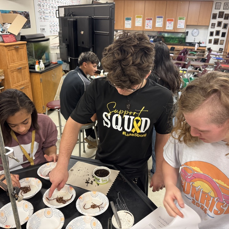 students in science lab activities