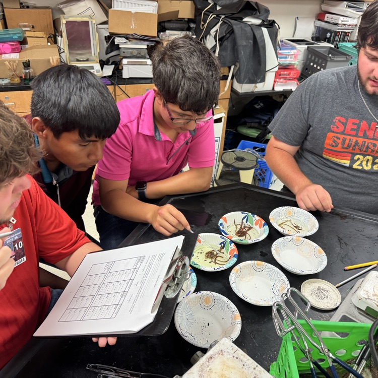 students in science lab activities