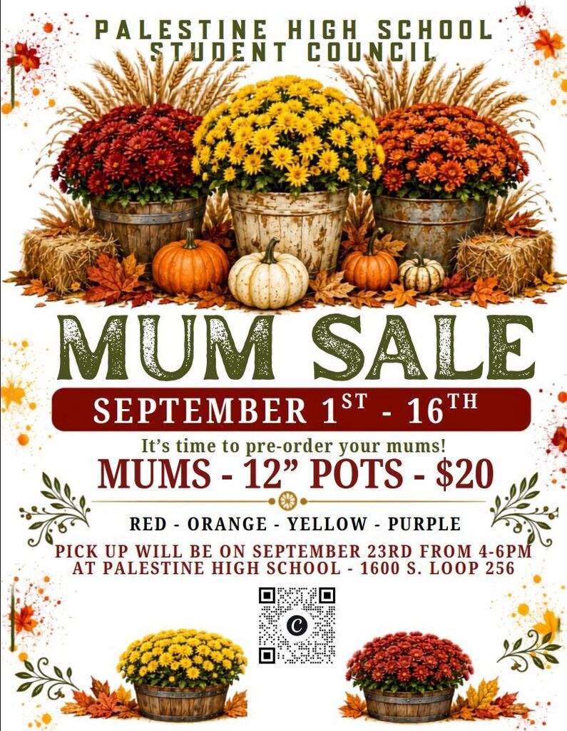 mum update