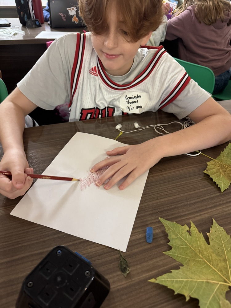 coloring leaves