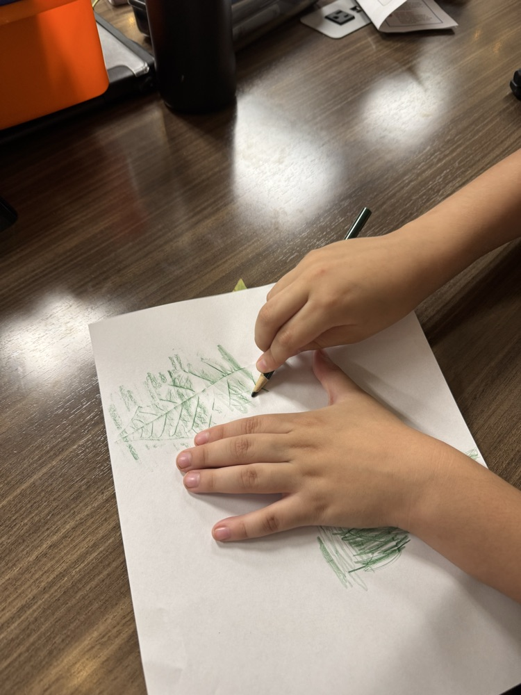 coloring leaves