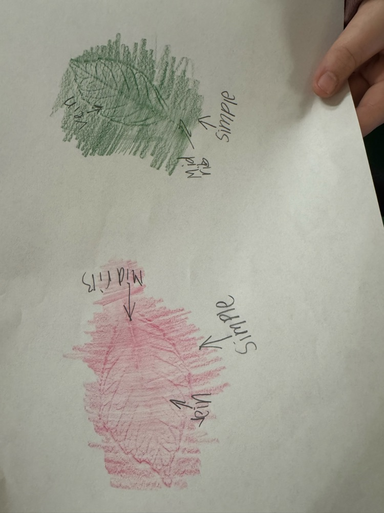 leaf labels