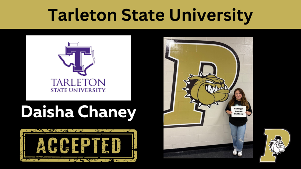 chaney tsu