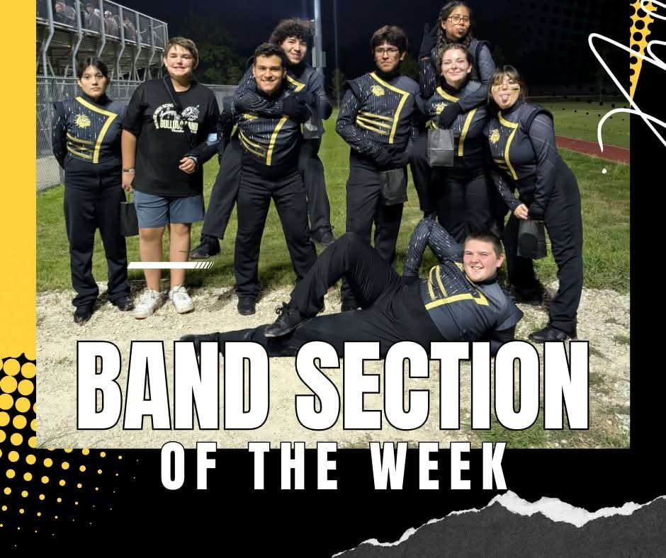 section
