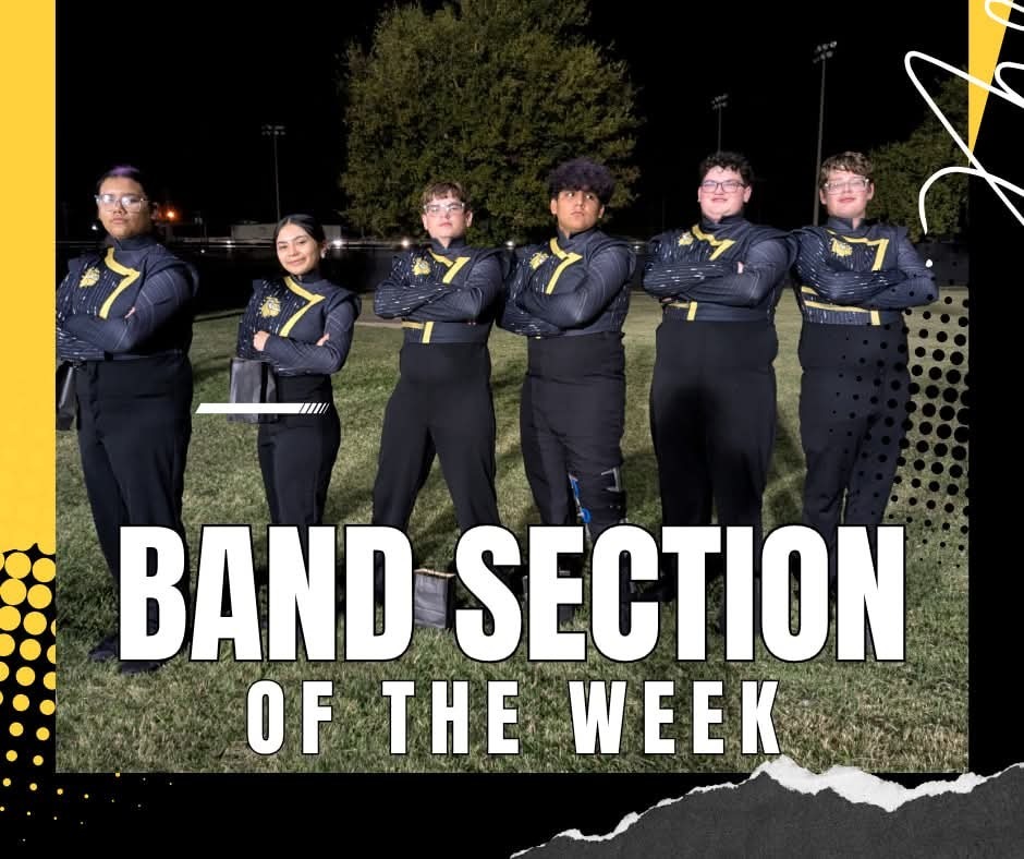section 