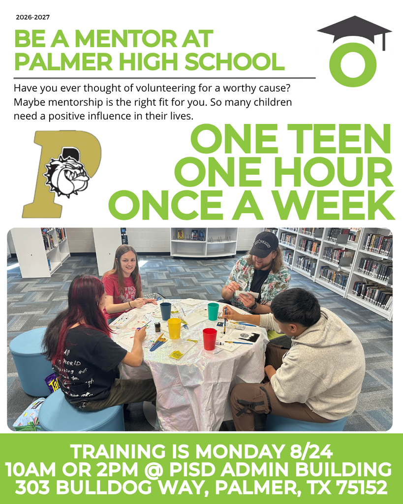 mentors care info