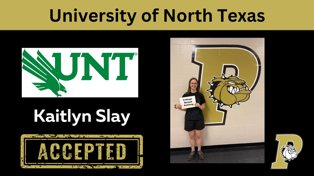 slay university of ntexas