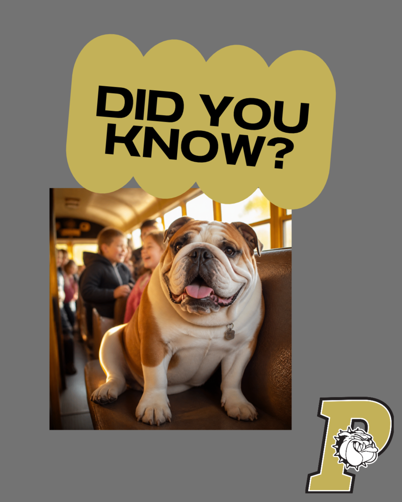 did you know
