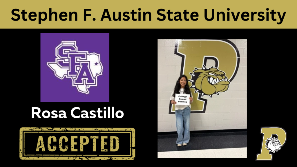 castillo accepted to sfa