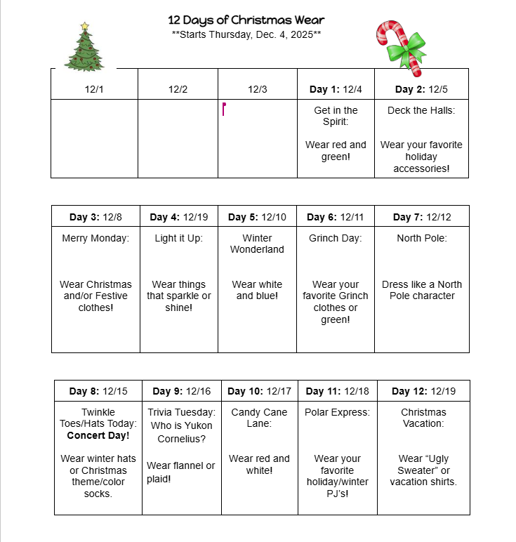 12 days of Christmas!