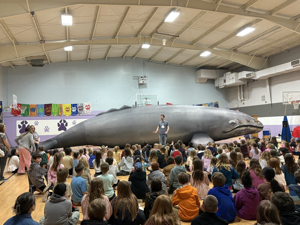 life-sized whale