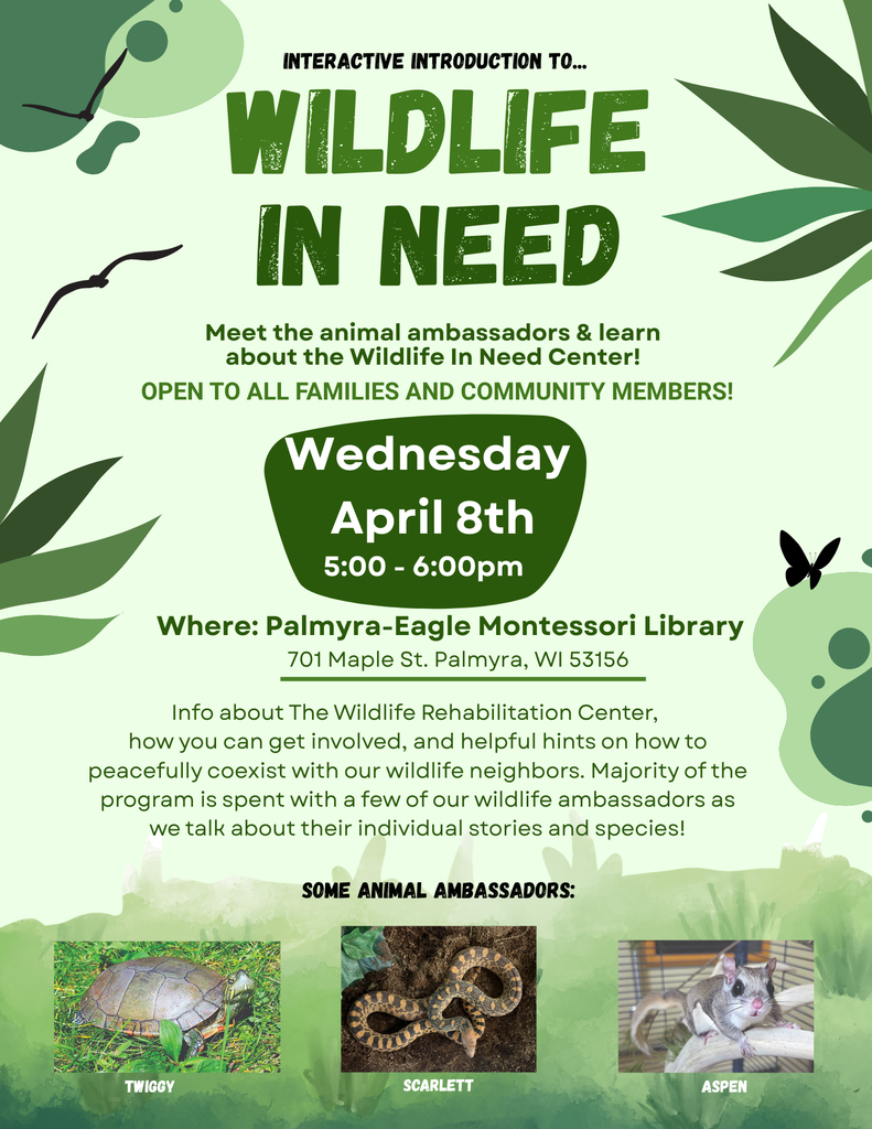 Montessori Event Wildlife in Need - Wednesday April 8, 2026 5pm - 6pm