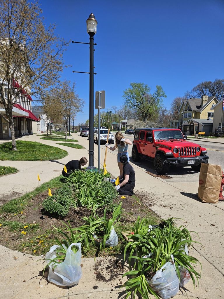 Community Service Day