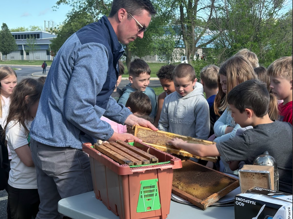 Bees and honey