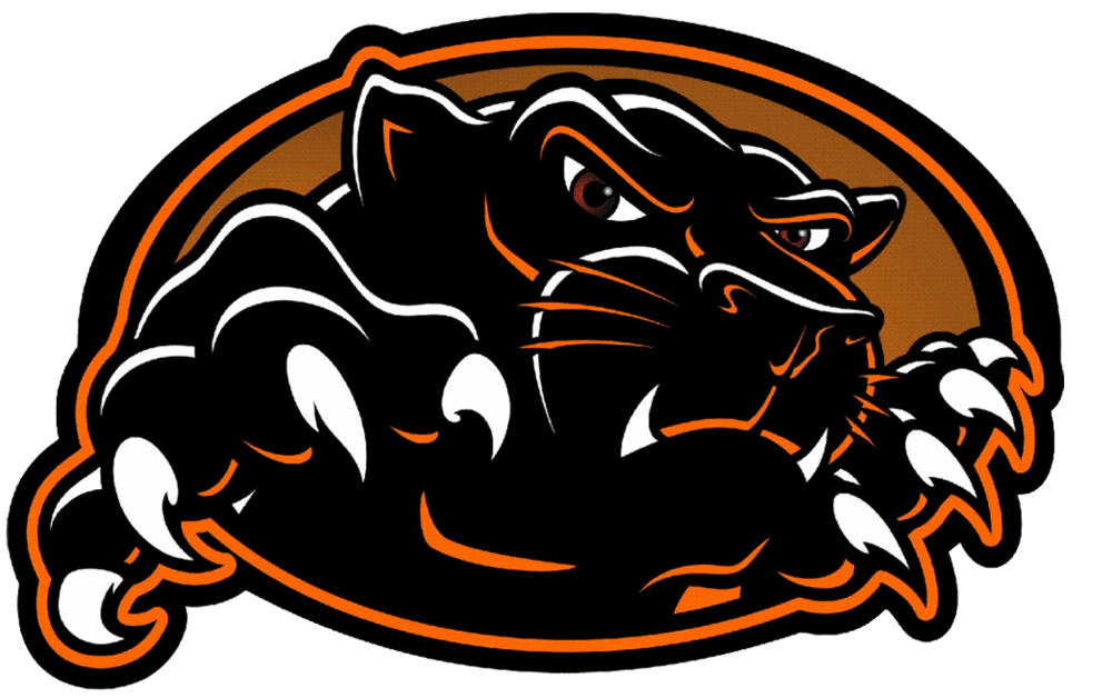 Palmyra Panther logo