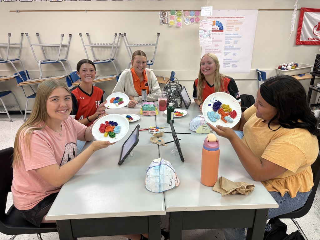 Child development classroom brain development activity