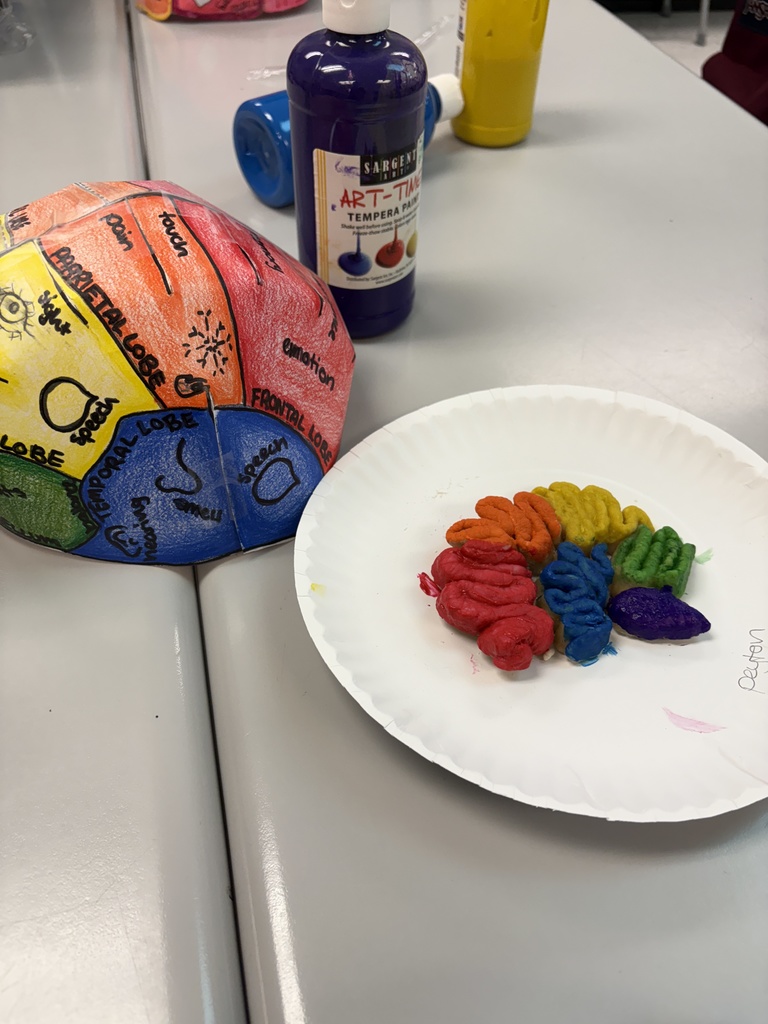 Child development classroom brain development activity