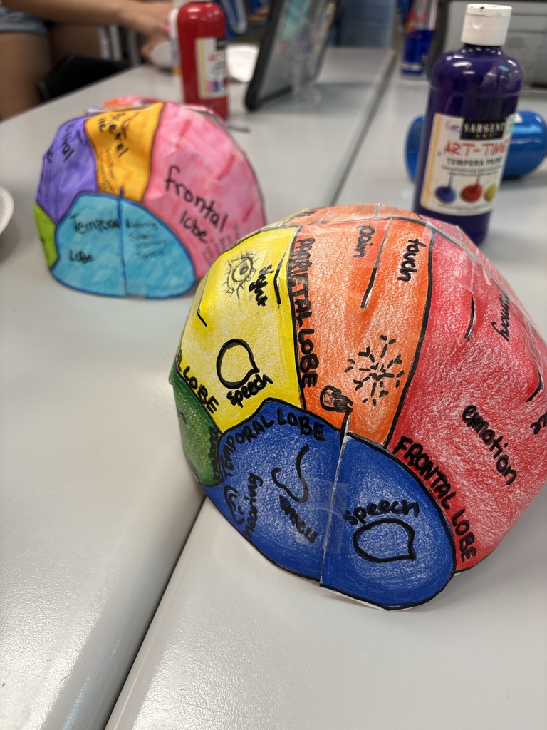 Child development classroom brain development activity