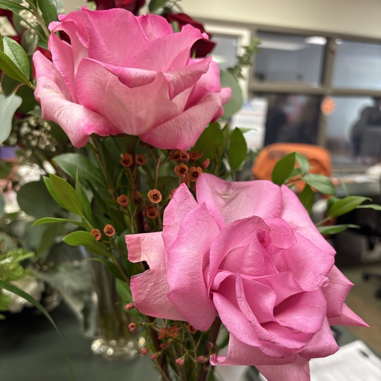 FFA floriculture team