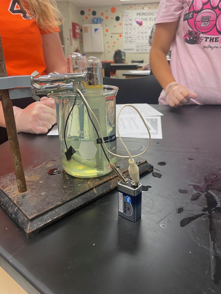 Chemistry students tried their hand at collecting oxygen and hydrogen gas by using electrolysis: