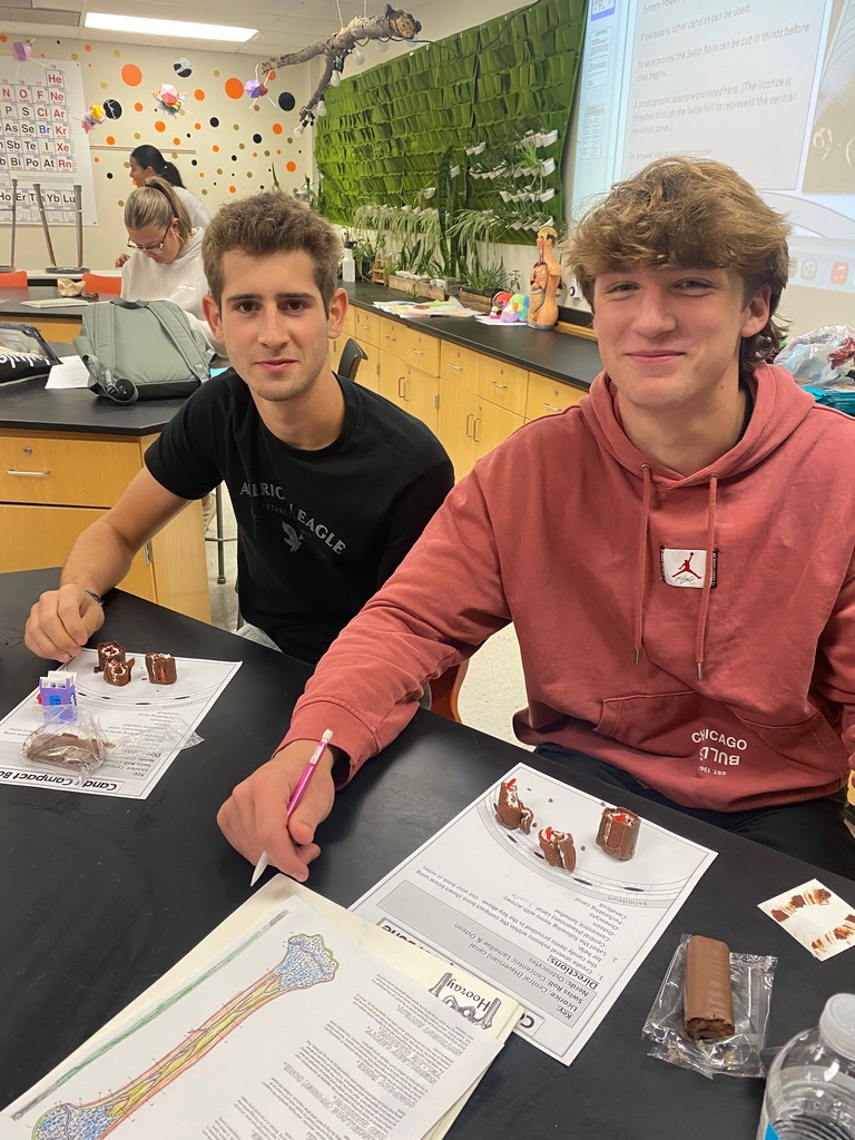 anatomy students thought outside of the box as they used candy and snacks to model compact bone: