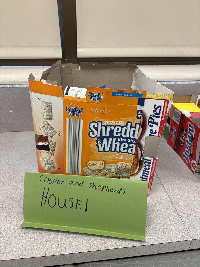 6th grade tiny house unit and the finished products