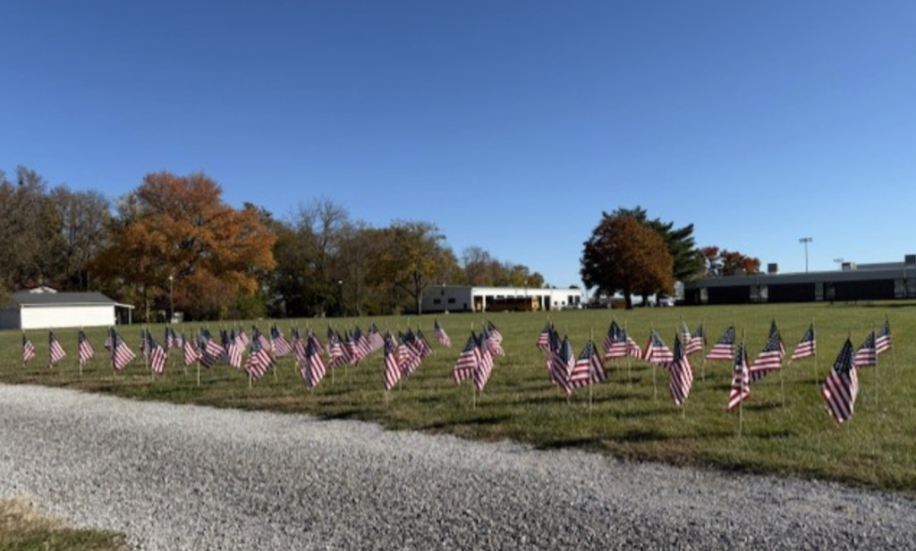 Field of Flags