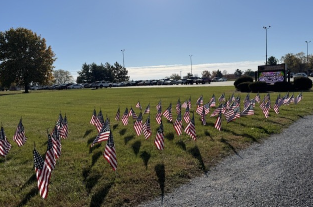 Field of Flags