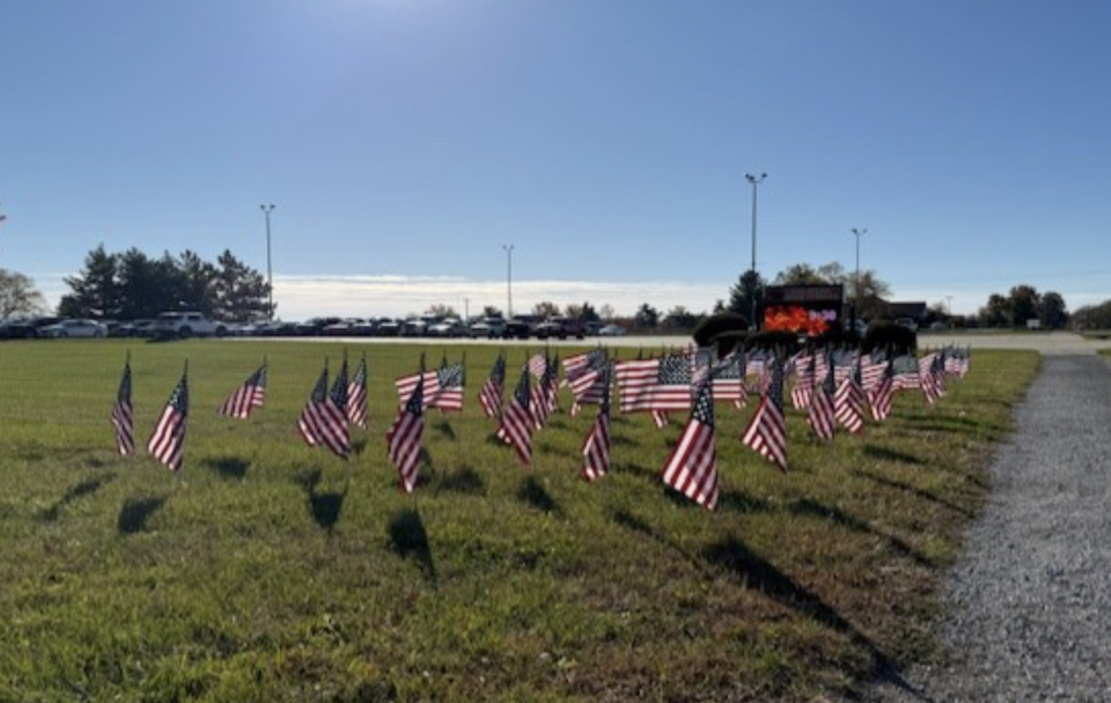 Field of Flags