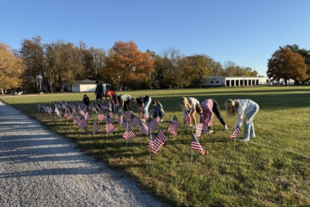 Field of Flags