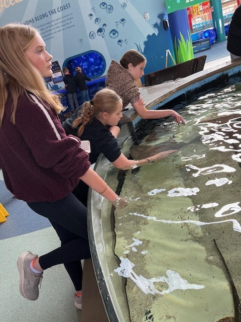 PACE Field trip to St. Louis Aquarium at Union Station