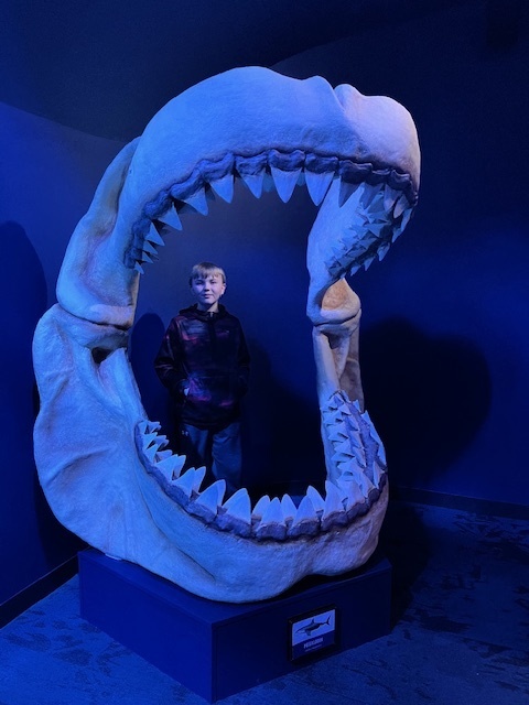 PACE Field trip to St. Louis Aquarium at Union Station