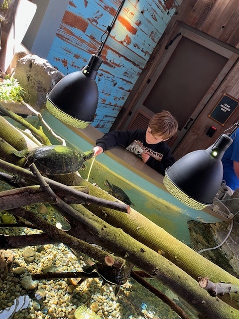 PACE Field trip to St. Louis Aquarium at Union Station