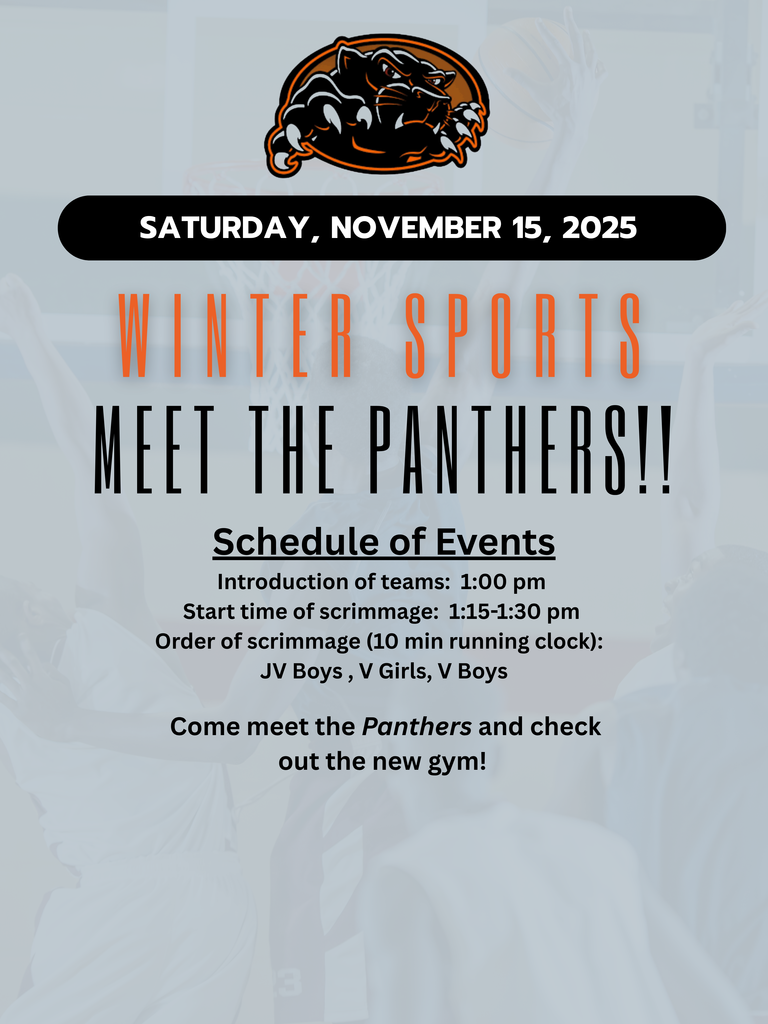 Meet the Panthers