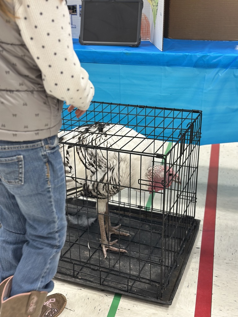 4th grade open house State Fair presentation