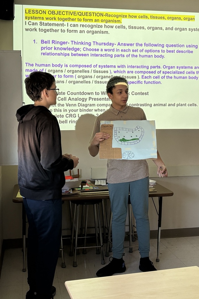 7th grade cell projects in Mrs. Harper's class