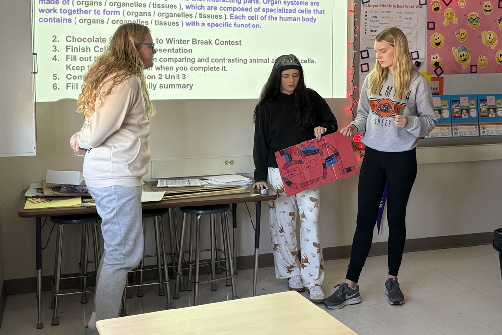 7th grade cell projects in Mrs. Harper's class