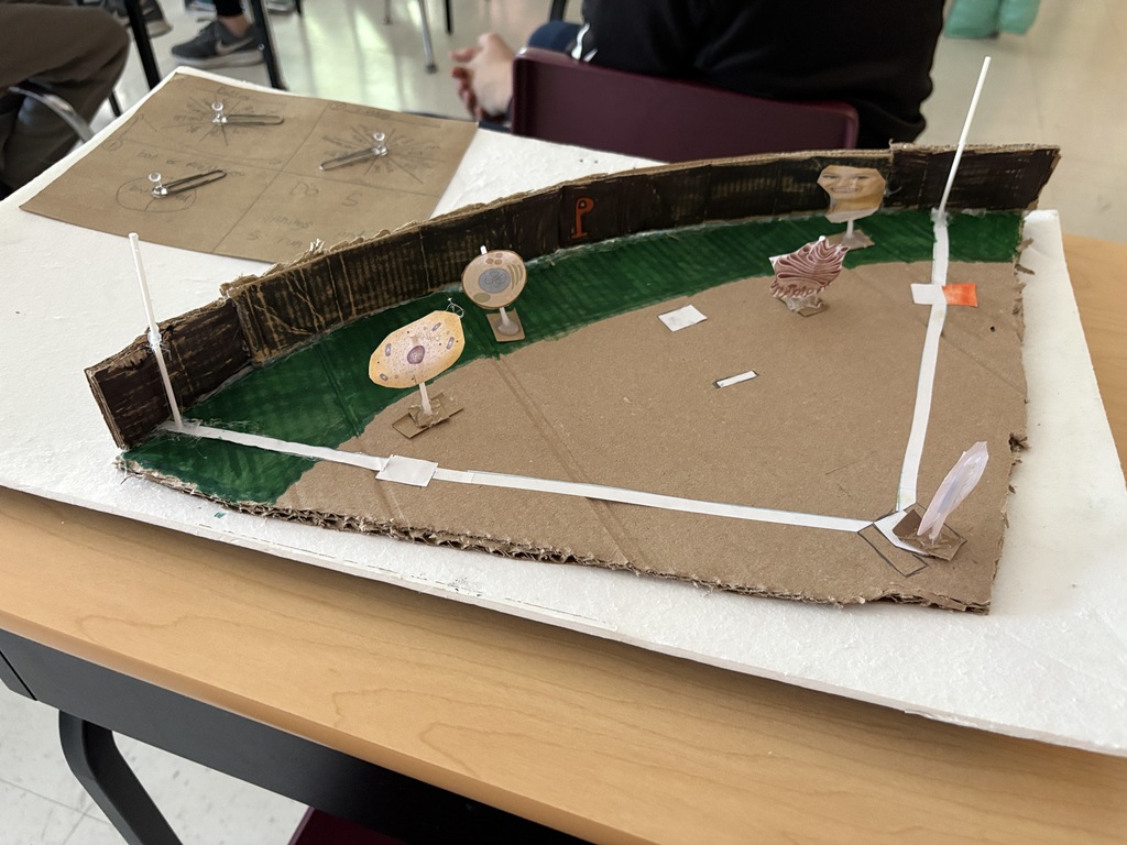 7th grade cell projects in Mrs. Harper's class