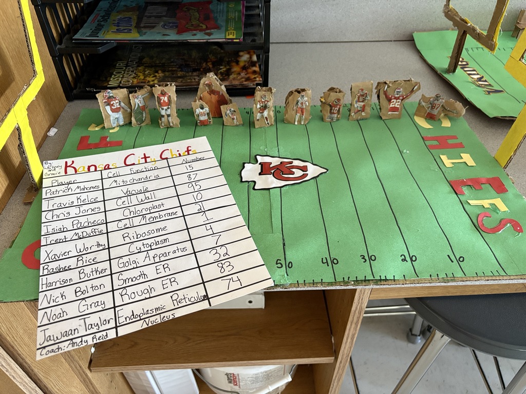 7th grade cell projects in Mrs. Harper's class