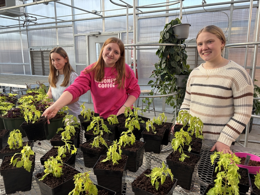 3 students preparing plants in the greenhouse