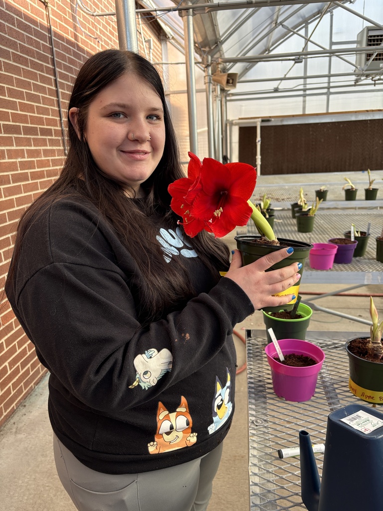 students holding their blooming amarylis 